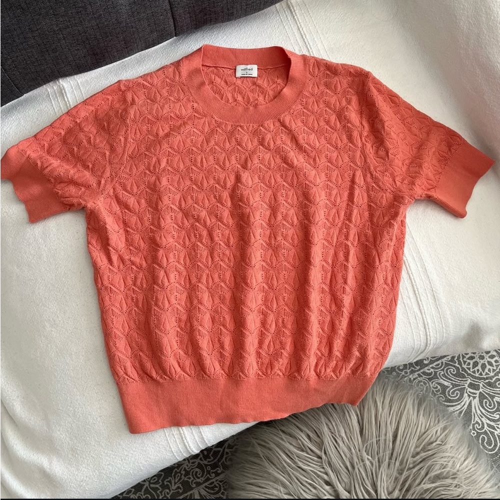 Aritzia❣️Wilfred Ozan sweater shirt